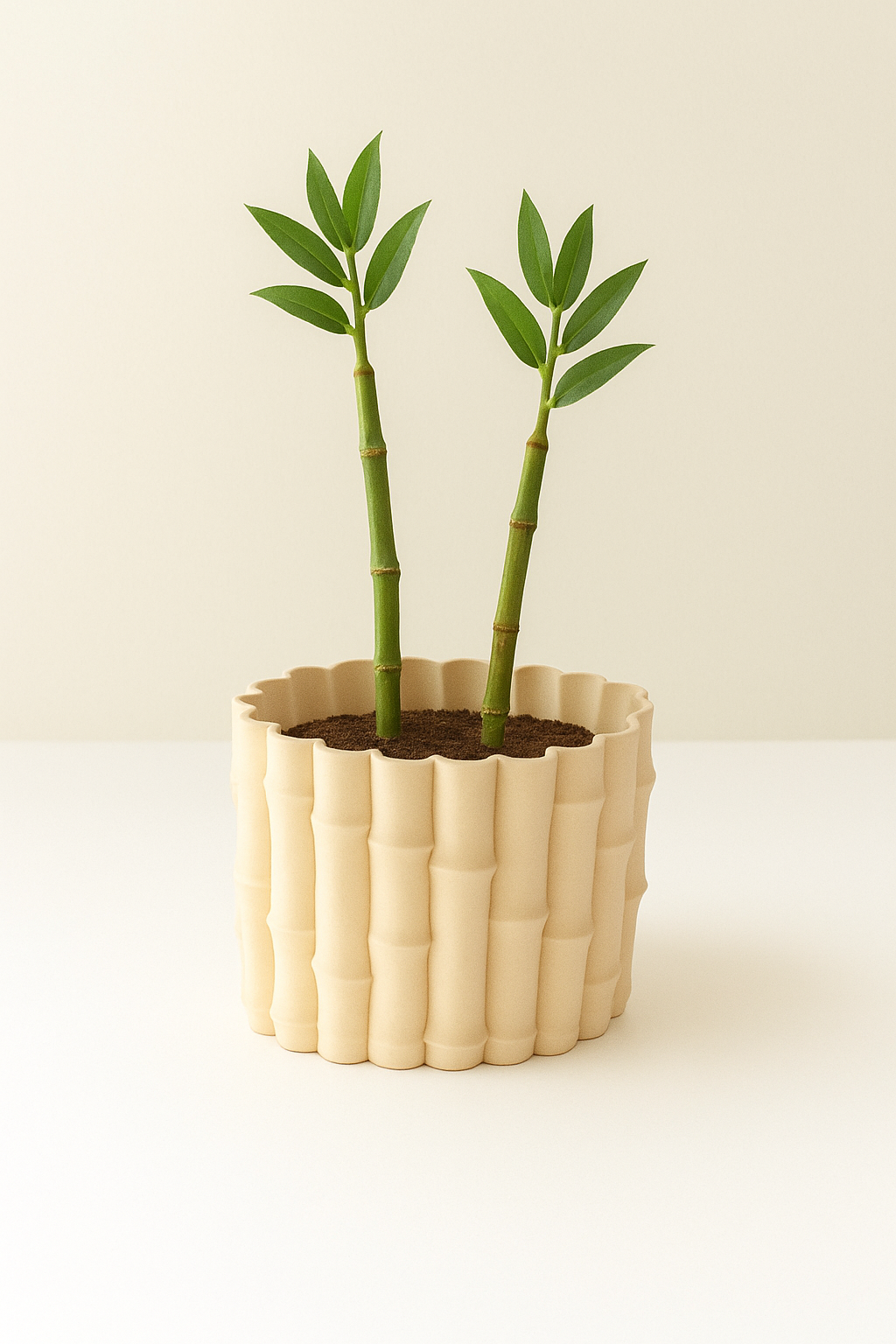 Organik Hatlı Krem Saksı – Minimal Ev Dekoru | Mugu Concept